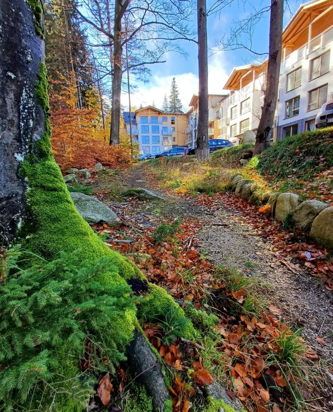 Apartament Kilinskiego 17A/9 Schreiberhau Exterior foto